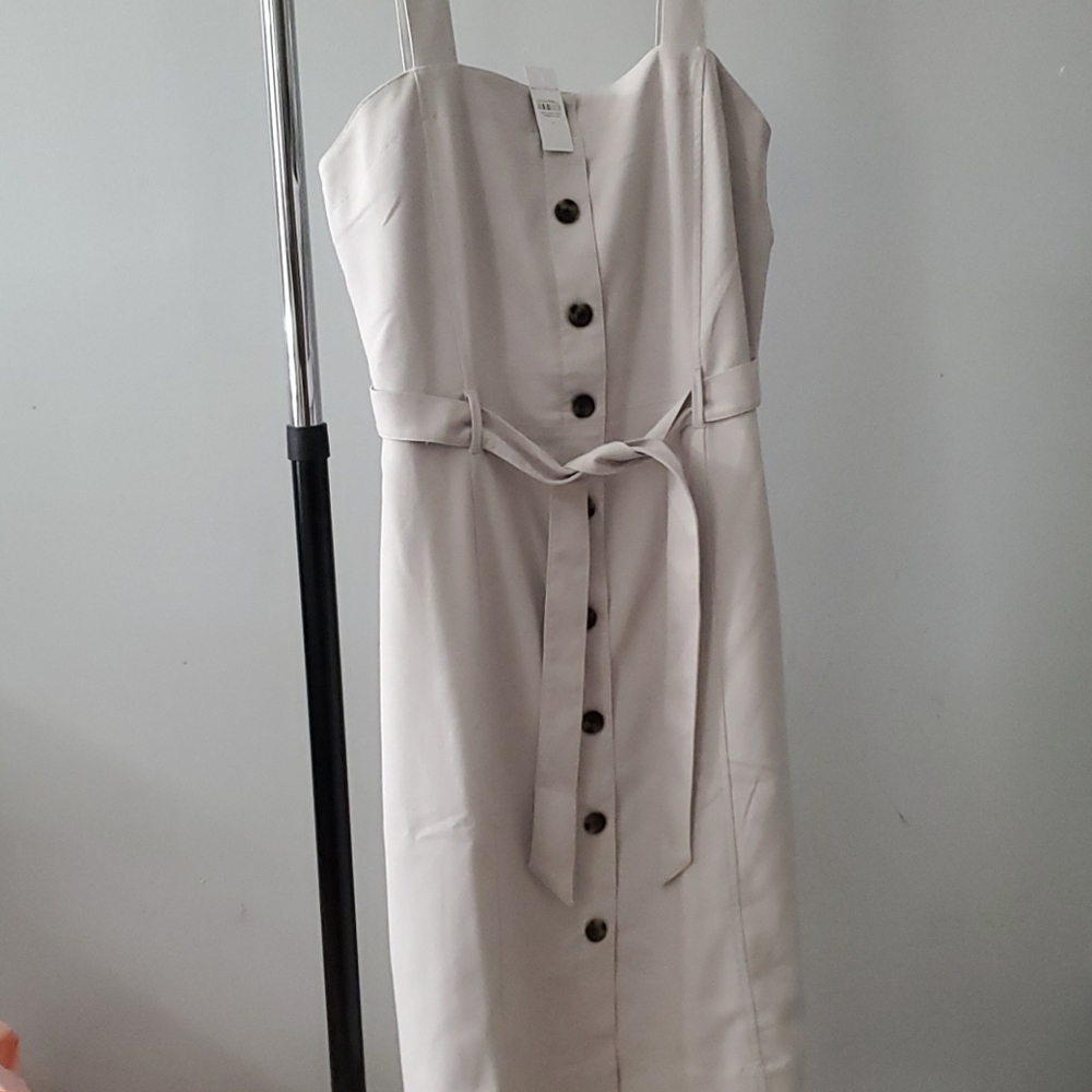 Ann Taylor Sleeveless Dress Size 12